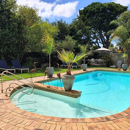 Wild Olive Guest House & Villa Cape Town Luaran gambar