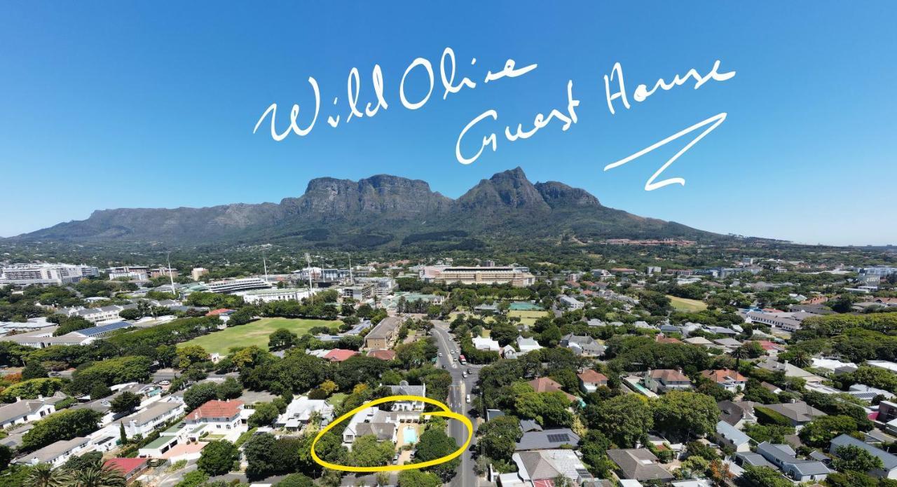 Wild Olive Guest House Cape Town Luaran gambar