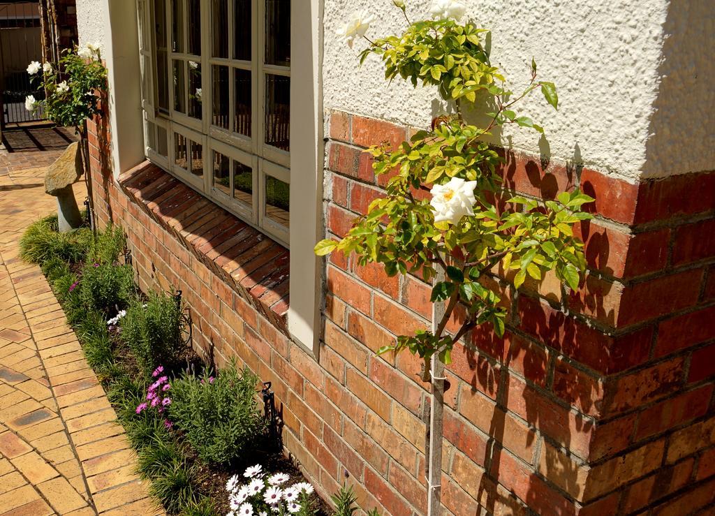 Wild Olive Guest House & Villa Cape Town Luaran gambar