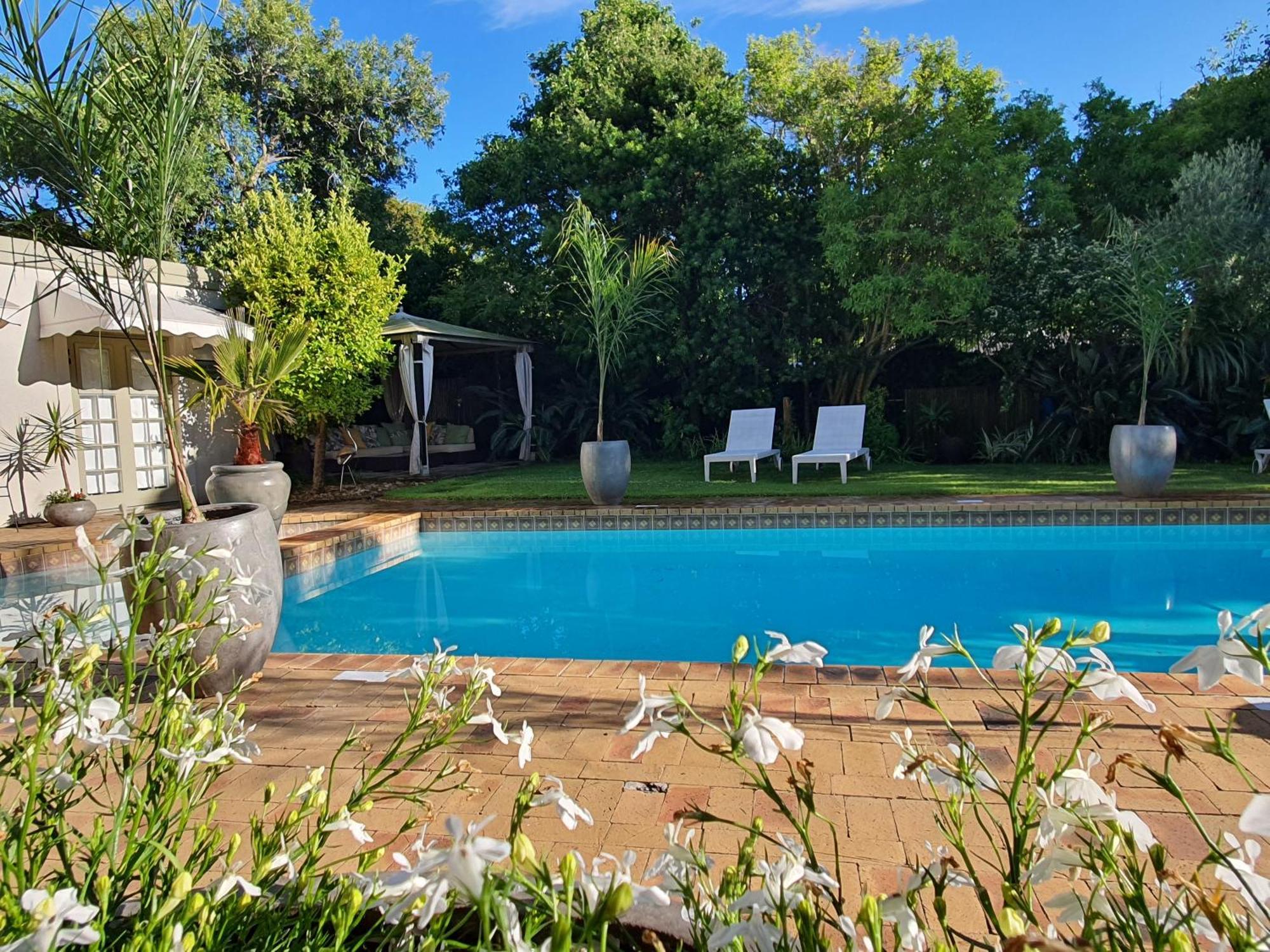 Wild Olive Guest House & Villa Cape Town Luaran gambar