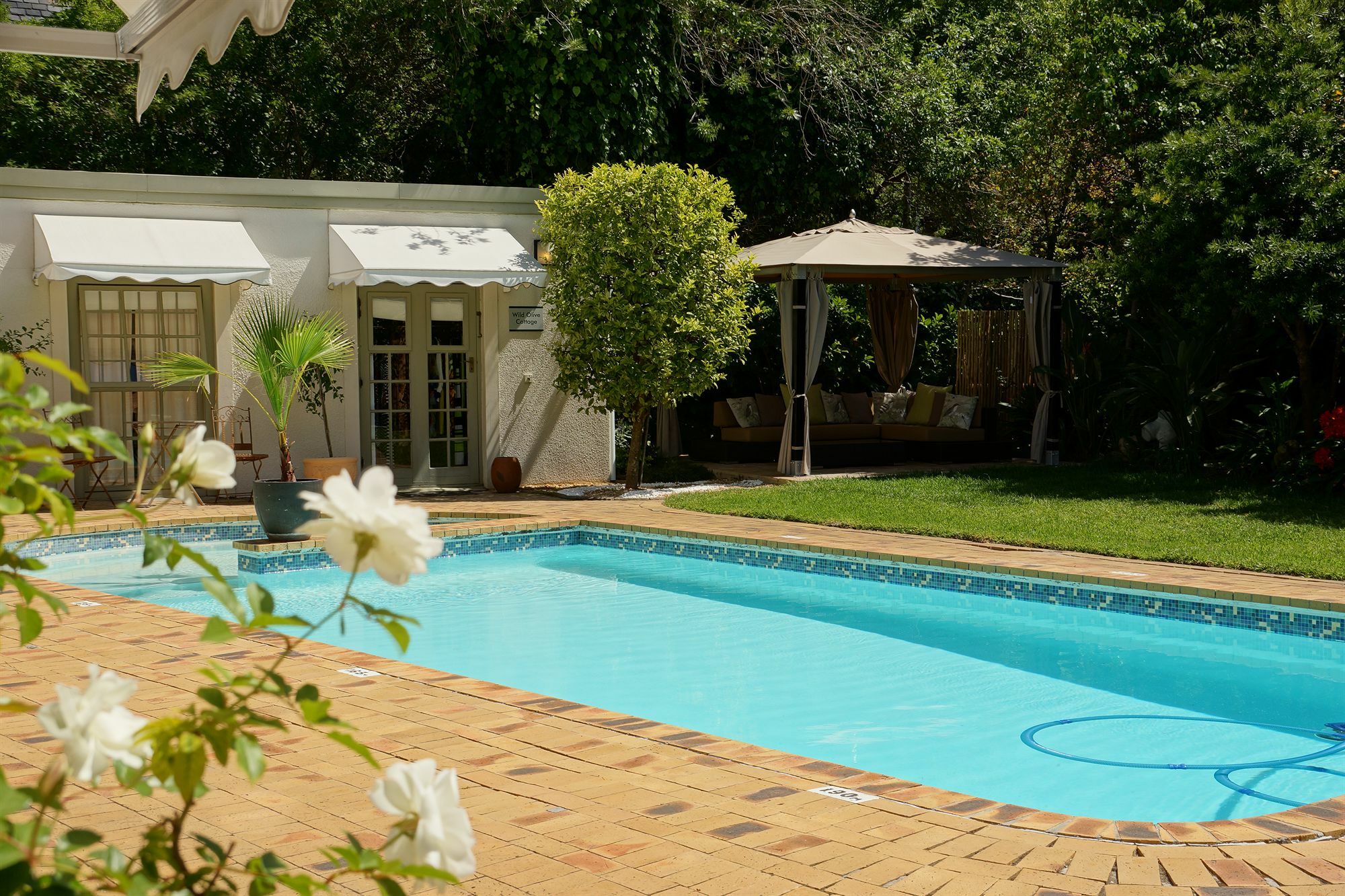 Wild Olive Guest House & Villa Cape Town Luaran gambar