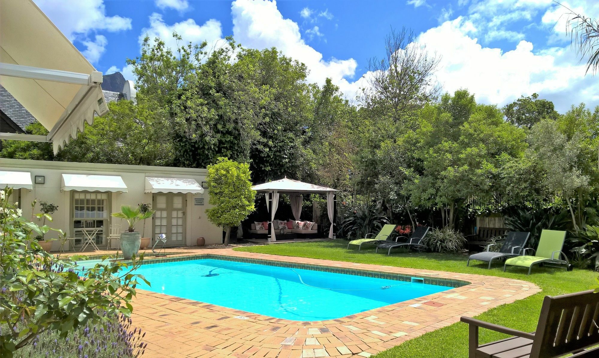 Wild Olive Guest House Cape Town Luaran gambar